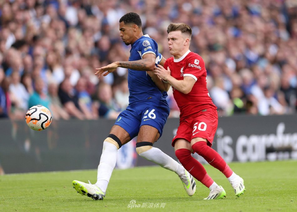 灵活机动的 灵活机动的